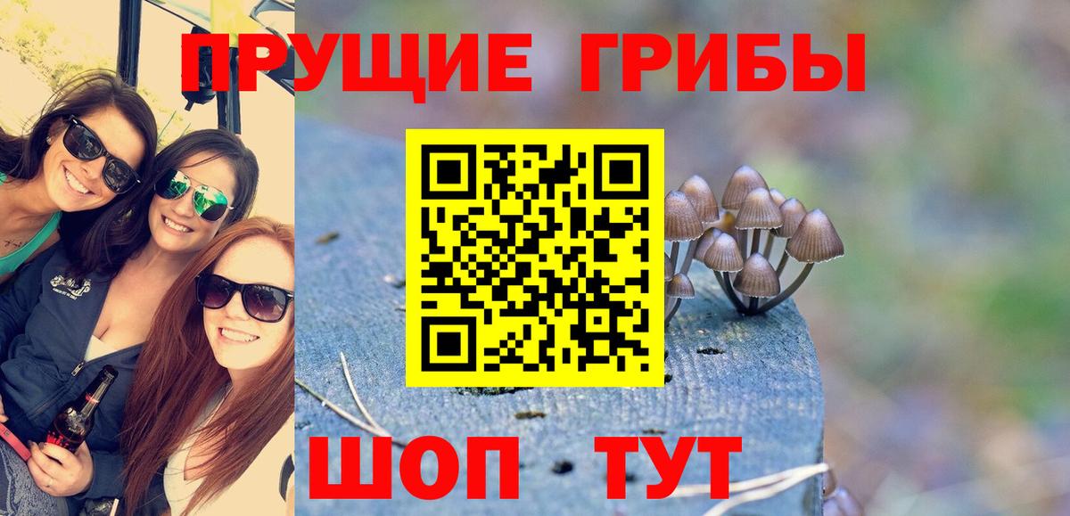 Псилоцибиновые грибы Magic Shrooms  Галлюциногенные грибы Psilocybine cubensis  Ирбит  Вход с VPN 